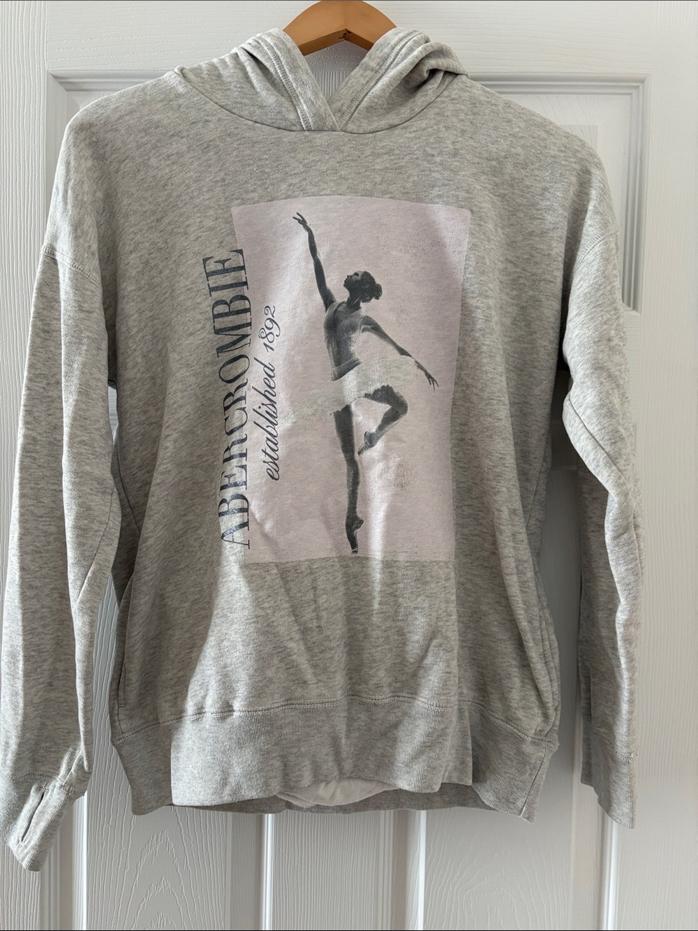 Abercrombie Kids Light Gray Ballet Graphic Zip-Up Hoodie